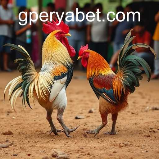 Understanding G Perya and the Tradition of Cockfighting